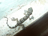 dscn0597