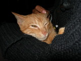 dscn0654