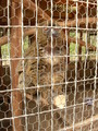 dscn0675