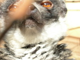 dscn0680