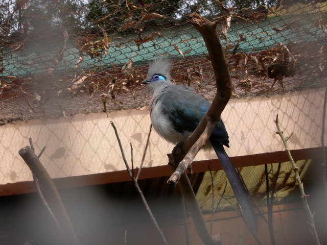 dscn0662