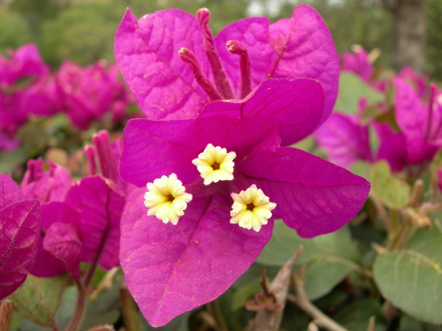 dscn0667