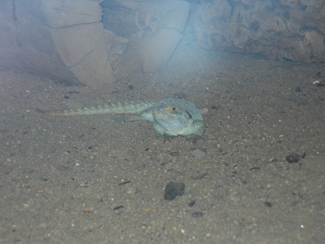 dscn0682