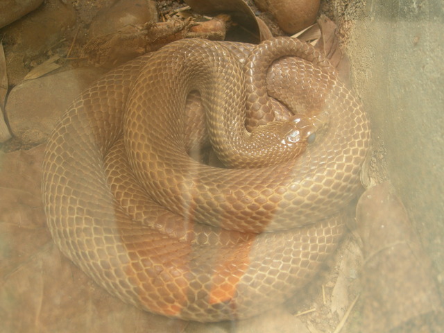 dscn0684