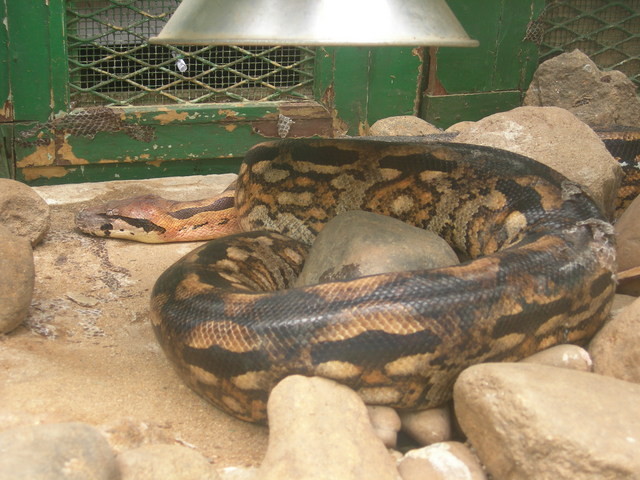 dscn0685