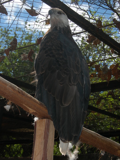 dscn0695
