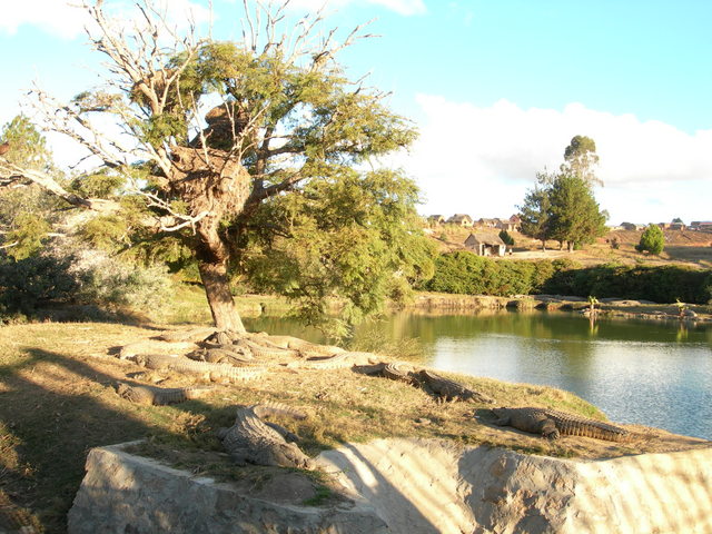 dscn0715