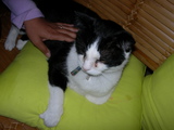 dscn0773