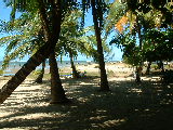 20030422 0926 017 Madagascar