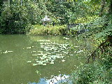 20030424 1054 082 Madagascar