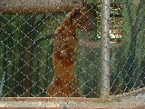 20030425 1029 104 Madagascar