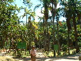 20030425 1032 105 Madagascar