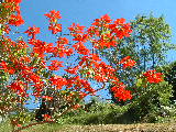 20030425 1045 108 Madagascar