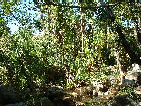 20030429 0929 203 Madagascar