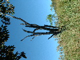 20030429 1052 239 Madagascar