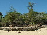 20030501 1134 260 Madagascar