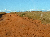 20030502 1559 313 Madagascar