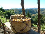 20030503 0814 336 Madagascar
