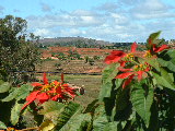20030504 1238 10 Madagascar
