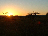200304 186 Madagascar