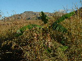 200304 190 Madagascar