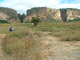 200304 194 Madagascar