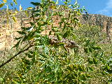 200304 198 Madagascar