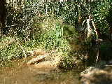 200304 199 Madagascar