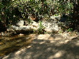 200304 200 Madagascar