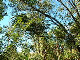 200304 202 Madagascar