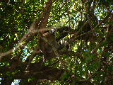 200304 208 Madagascar