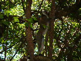 200304 210 Madagascar