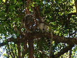 200304 211 Madagascar