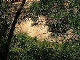 200304 215 Madagascar