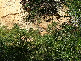 200304 216 Madagascar