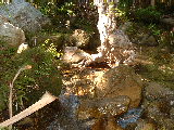 200304 217 Madagascar