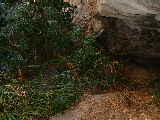 200304 222 Madagascar