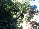 200304 224 Madagascar