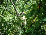 200304 229 Madagascar