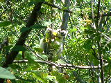 200304 230 Madagascar