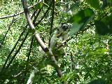 200304 232 Madagascar