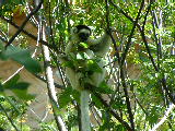 200304 233 Madagascar