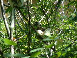 200304 234 Madagascar