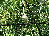 200304 235 Madagascar