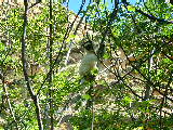 200304 237 Madagascar