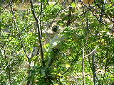 200304 238 Madagascar