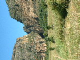 200304 241 Madagascar