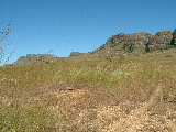 200304 243 Madagascar