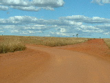 200304 306 Madagascar