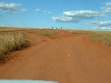 200304 309 Madagascar
